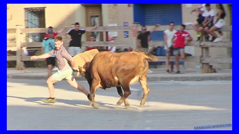 ARGUEDAS ( NAVARRA ) TARDE VACAS EN CALLE ( VIERNES 11 AGOSTO 2023 ) GANAD.SANTOS ZAPATERIA