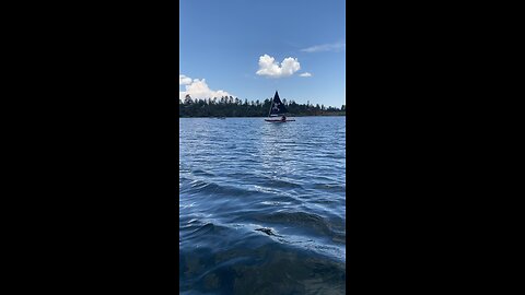 Sunfish sailing on Lynx Lake