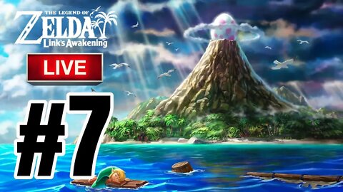 THE LEGEND OF ZELDA: LINK'S AWAKENING (NINTENDO SWITCH) | PART 7 |