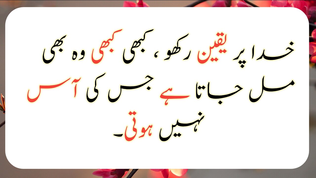 Best urdu quotes collection