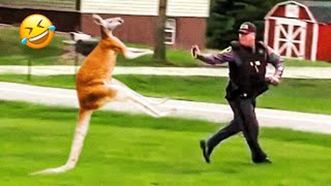 Funniest Dogs And Cats Videos 😅 - Best Funny Animal Videos 2023 🥰
