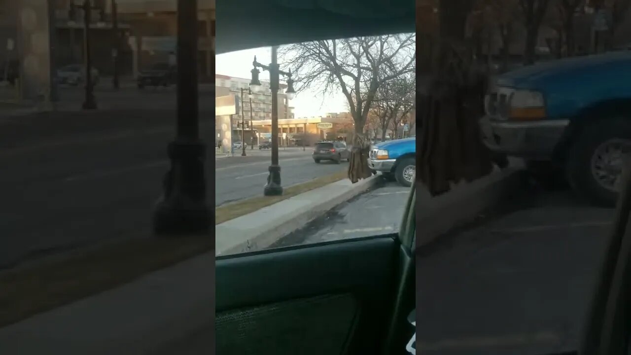 Radagast Roaming in Salt Lake City, Utah