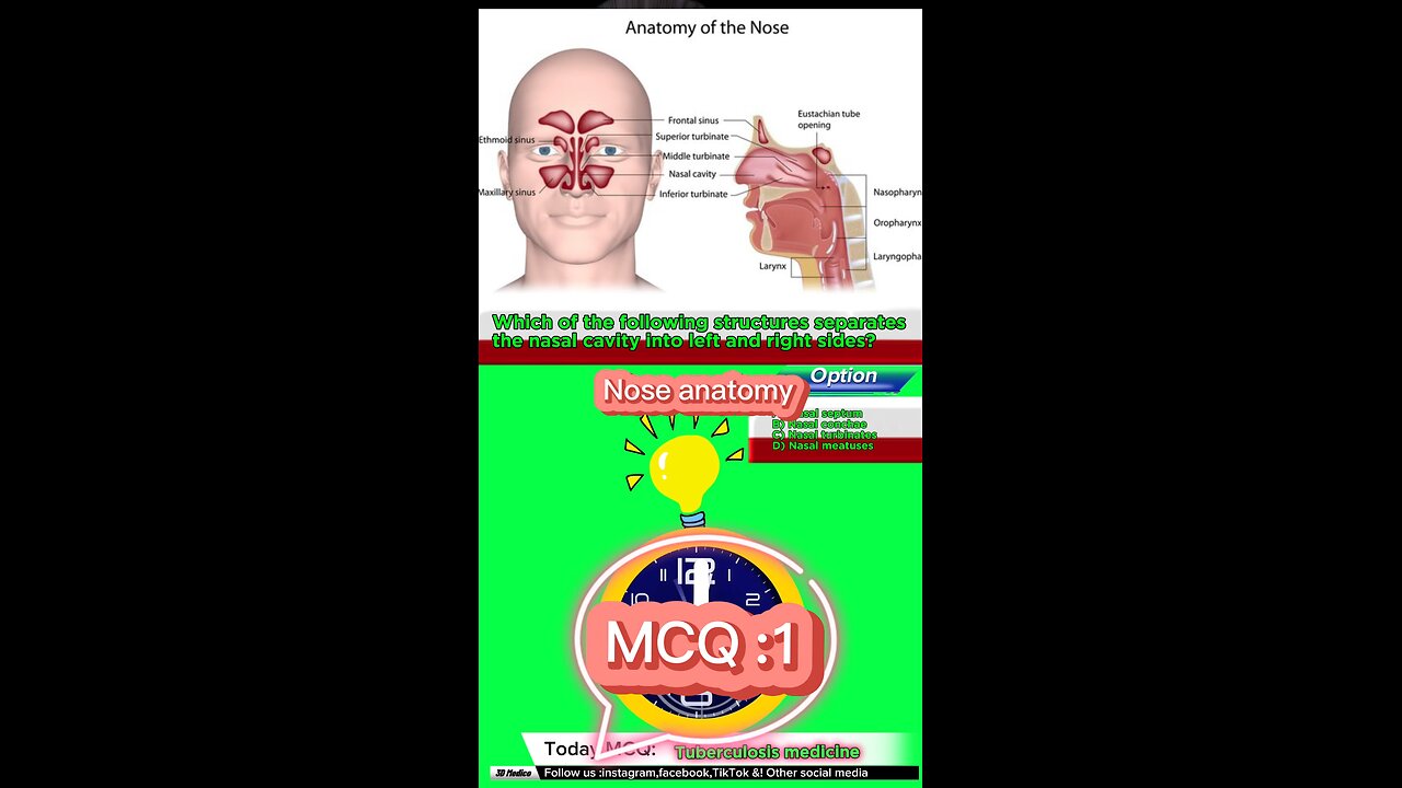 Nose anatomy MCQ:1 Medical vidoe pharmacology #quiz #mcqs#MedicalQuiz