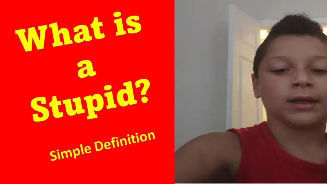 What is a Stupid Person...Simple Definition - Everyone Can Understand - SticksFunG3