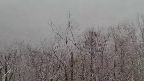 Big Canoe Christmas Eve Snowfall - 12/24/20