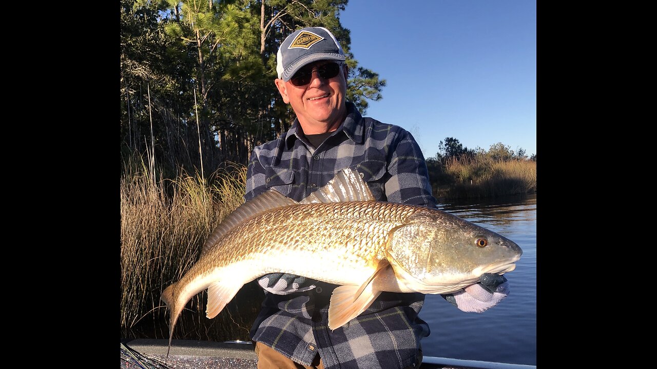 Bull Red CPR — Catch, Photo, Release!