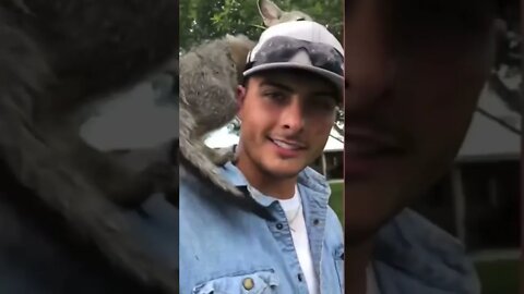 Foxes are dogs but ok