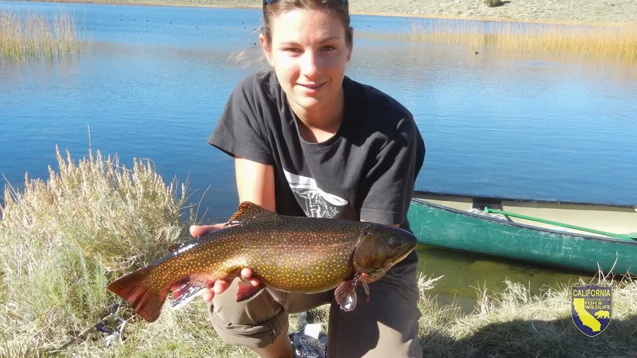 New Scientific Aides Learn Native Trout Restoration in the High Sierra