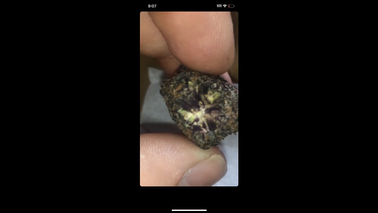 Smoking da Badada