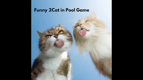 Funny 2Cat in pool game🤣🐶