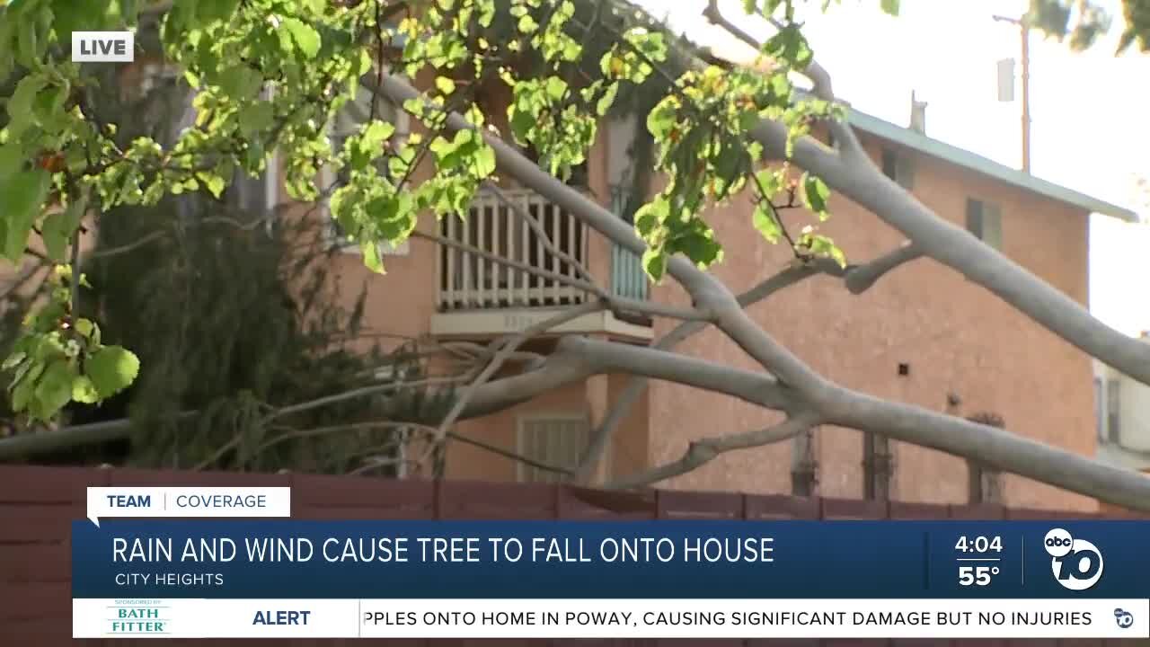 ‘It’s scary’: Tree topples over hitting City Heights home