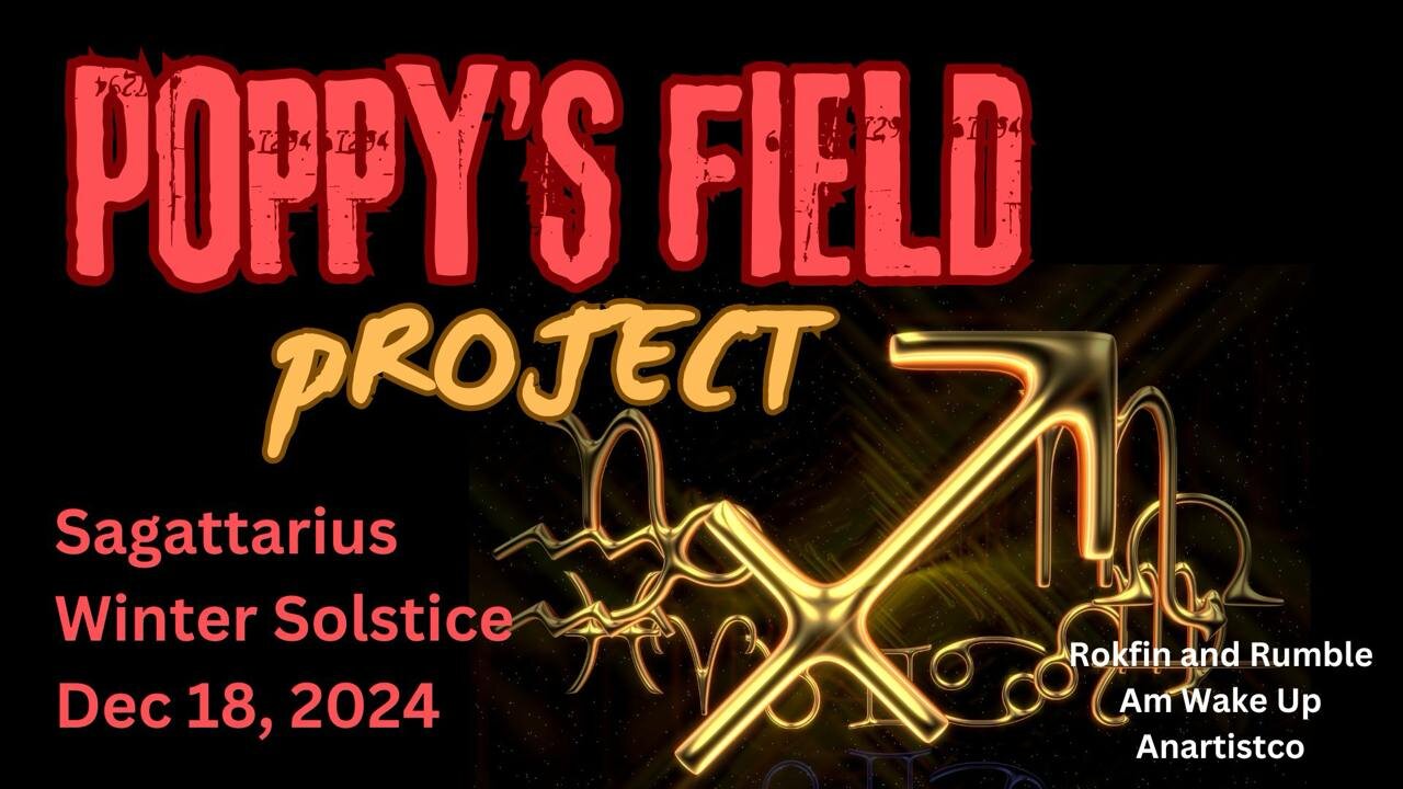 Poppy's Field Project 12/18/24