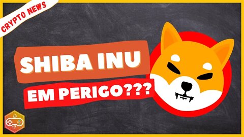 Cuidado Shiba Inu tem contrato fake em site grande? Estádio de futebol no Metaverso? [CriptoNoticia]
