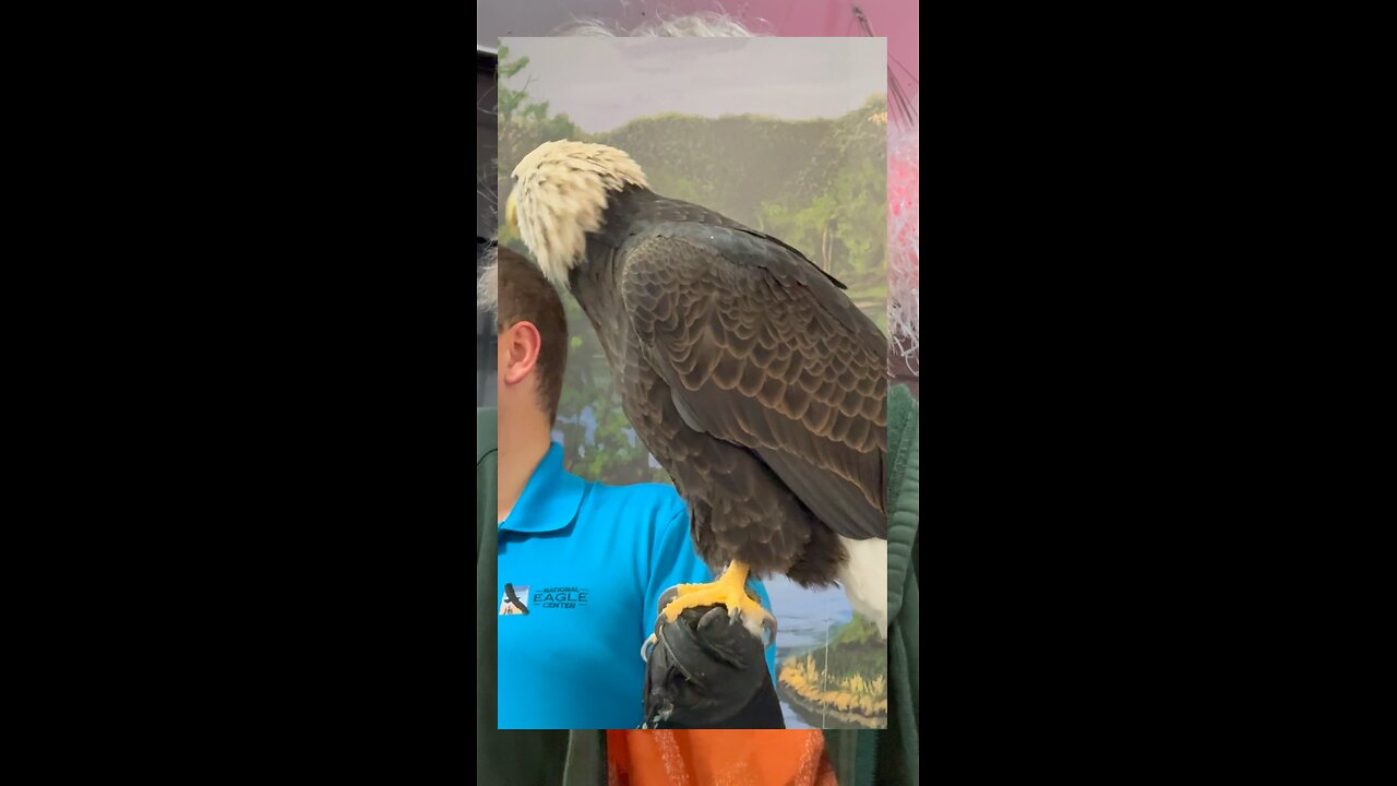 The National Eagle Center!