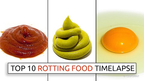 Top 10 Rotting Food Timelapse