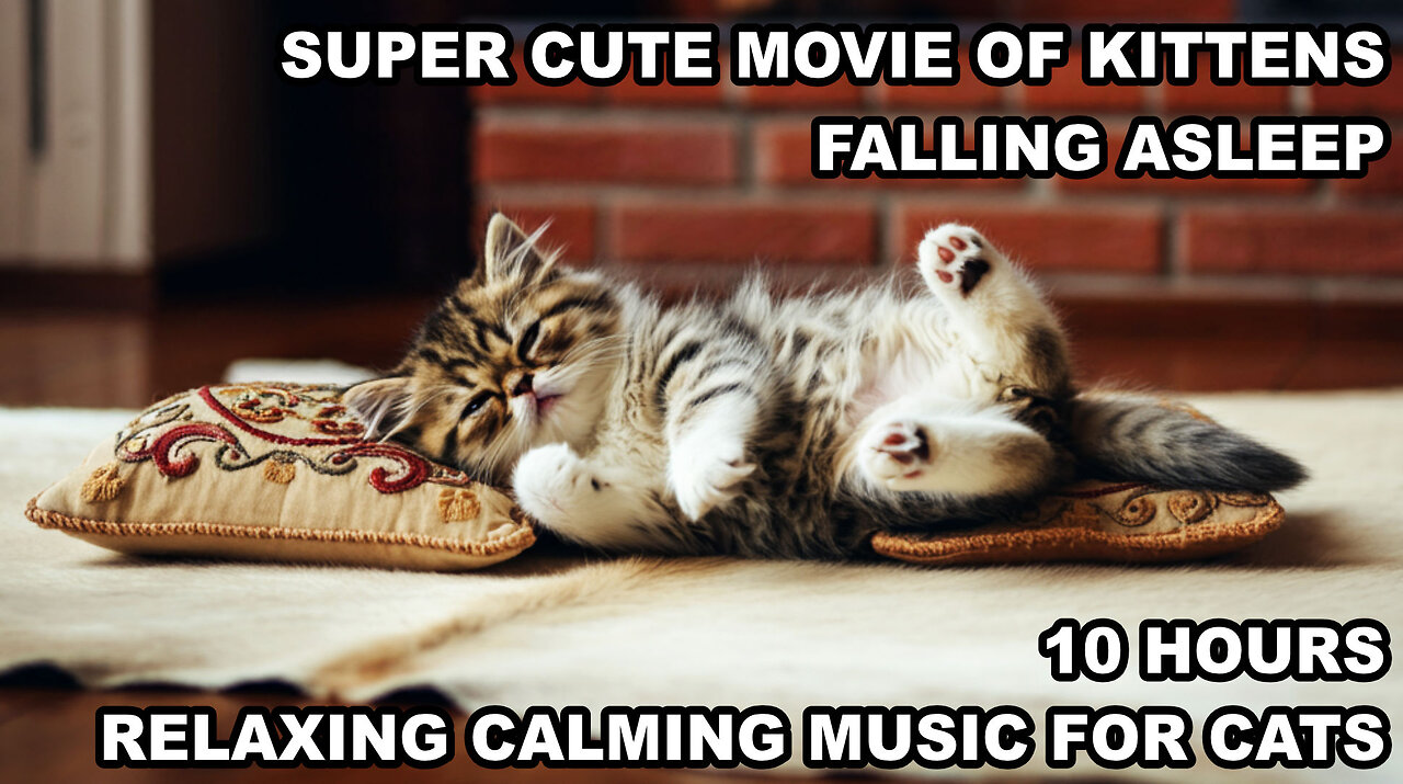 RELAXING CALMING SOFT PIANO MUSIC FOR CATS | A VIDEO COMPILATION OF KITTENS FALLING ASLEEP