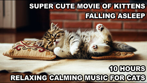 RELAXING CALMING SOFT PIANO MUSIC FOR CATS | A VIDEO COMPILATION OF KITTENS FALLING ASLEEP