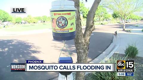 Neighborhoods having a hard time with mosquitoes during the monsoon