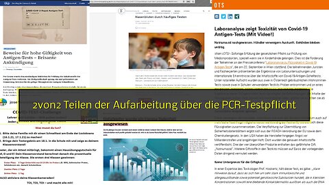 2von2 Teilen der Aufarbeitung über die PCR-Testpflicht & deren schwerwiegenden Folgen