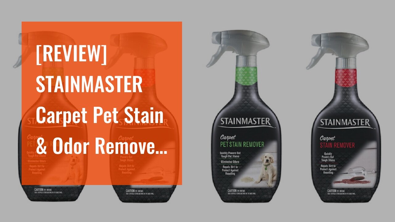 [REVIEW] STAINMASTER Carpet Pet Stain & Odor Remover Cleaner, 22 Ounce (Pack of 2)