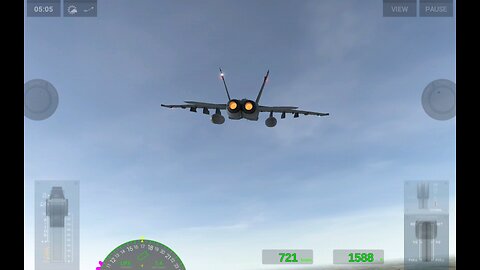 Flight Sim