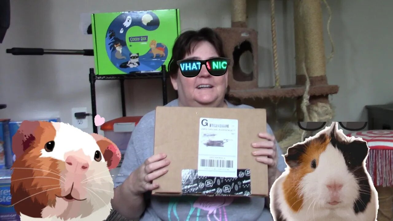 GPig Box (September 2023) Unboxing! 🐹