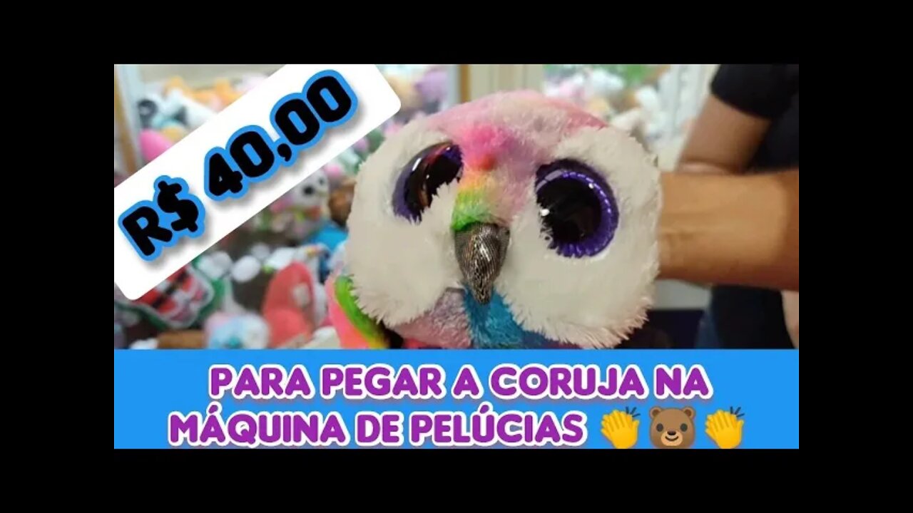 GASTEI R$ 40,00 PARA PEGAR A CORUJA NA MÁQUINA DE PELÚCIAS....