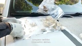 Preso com drogas: detento tenta entrar com drogas no presídio de GV e acaba indo para a delegacia