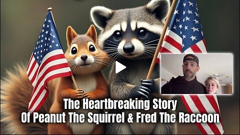 The Heartbreaking Story Of Peanut The Squirrel & Fred The Raccoon (We Could Be Next)
