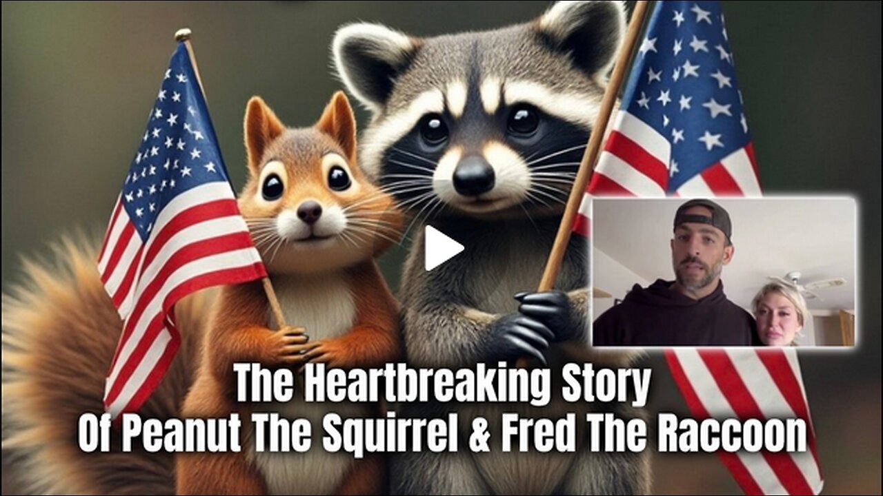 The Heartbreaking Story Of Peanut The Squirrel & Fred The Raccoon (We Could Be Next)