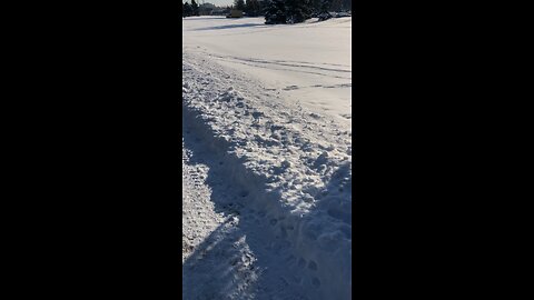Snow with sunshine