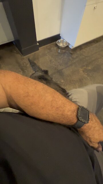 But …what if I DONT WANT TO PET YOU?!