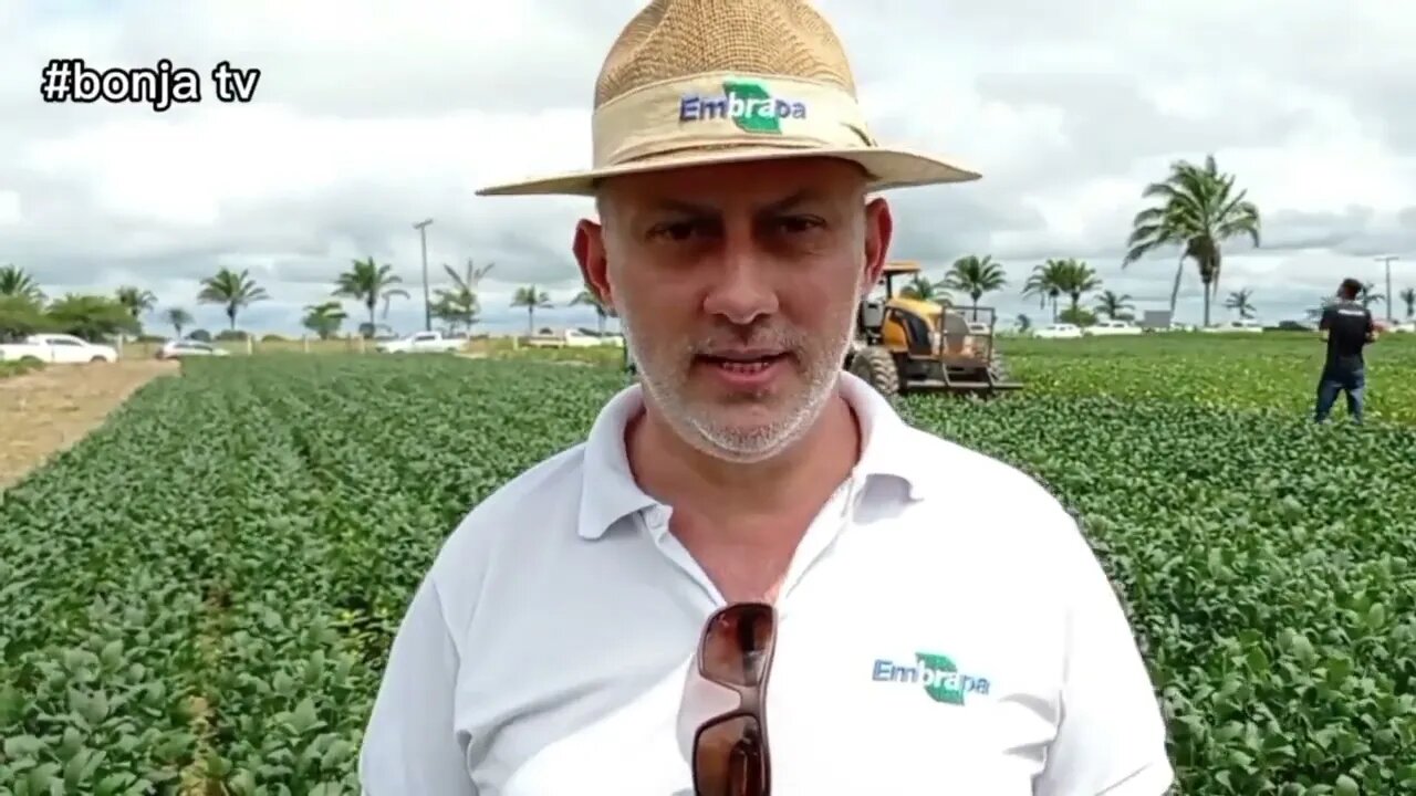 Cultivo Experimental de Soja em Bom Jesus do Tocantins