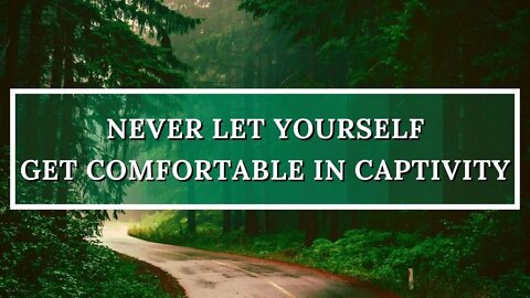 Never Let Yourself Get Comfortable In Captivity