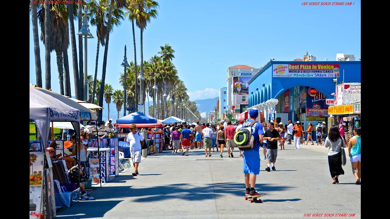 LIVE CAM 24/7 VENICE BEACH CALIFORNIA ! THE BEACH LIFE !!!