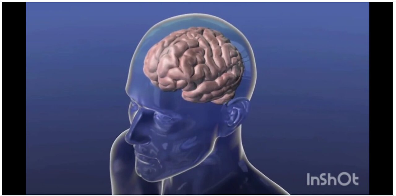 Visible Light Communication and Optogenetics 5G 6G 7G Smart City Surveillance Grid