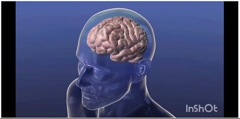 Visible Light Communication and Optogenetics 5G 6G 7G Smart City Surveillance Grid