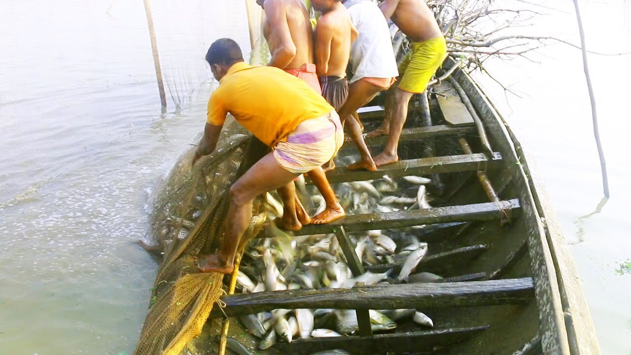 Fisher man catch a lots of fish every day from this river