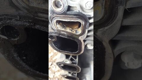 03 mustang 4.6 intake problem spots