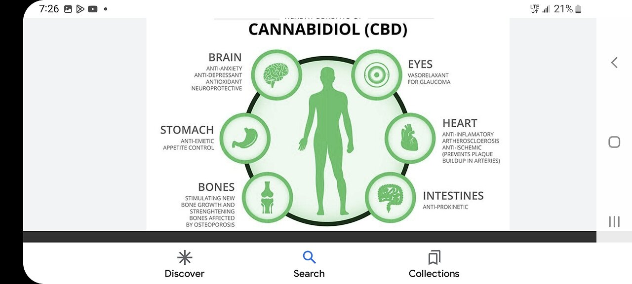 CBD/CBG BINDS UP SPIKE PROTEINS ON "VIRUSES", POLLEN AND MOLD SPORES. AND YOU DONT NEED A STORE