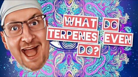 What Do Terpenes Even Do?