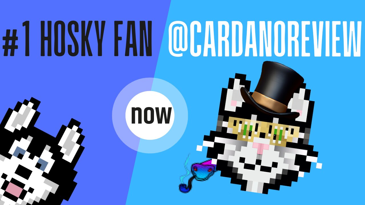 From The Number One Hosky Fan to @CardanoReview Plus more Catsky AI news