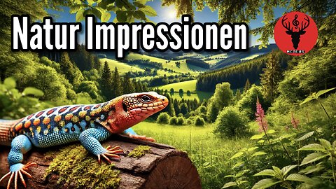 Natur Impressionen