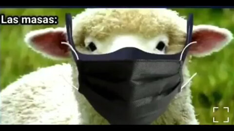 La venganza de la masoneria.