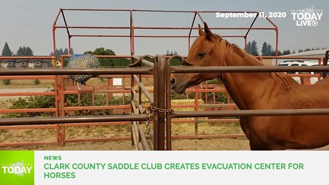 Clark County Saddle Club creates evacuation center for horses