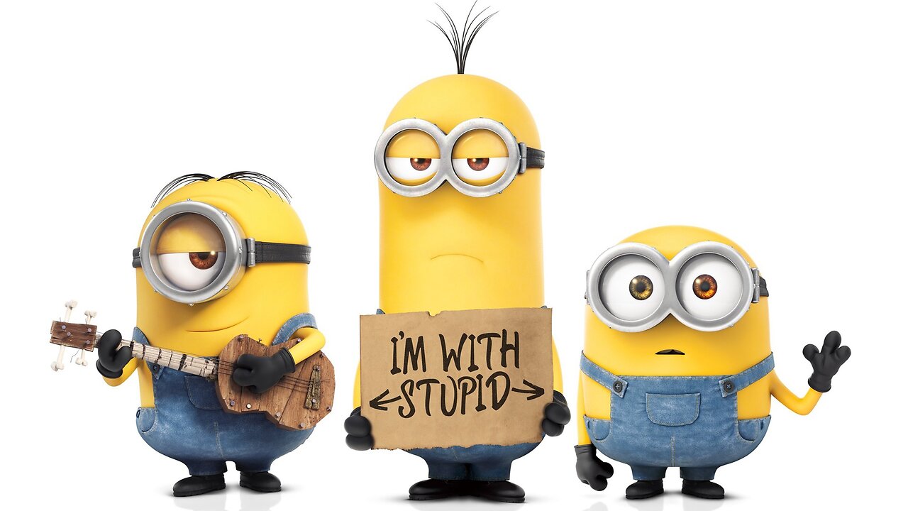 Funny moments with the MINIONS😃