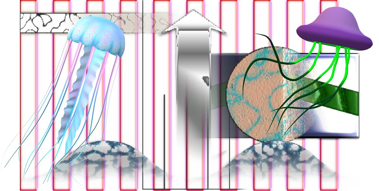 Presumption of Guilt