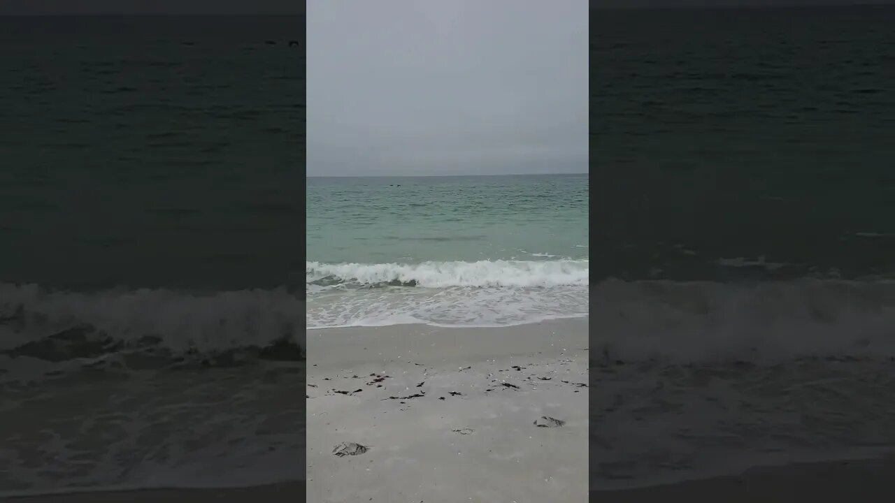 Gulf of Mexico, Boca Grande, Gasparilla Beach November 17th 2023. ⛱️