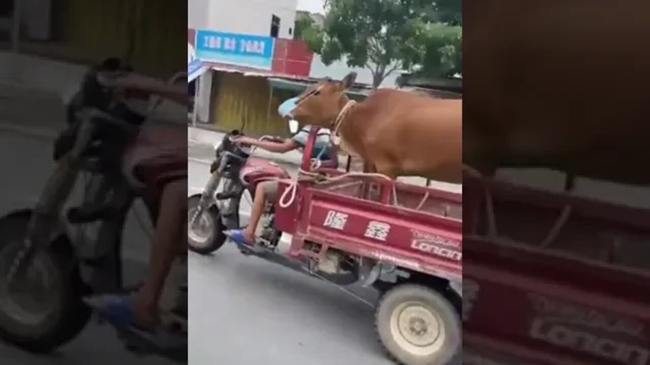 ۱۳ اوت ۲۰۲۲