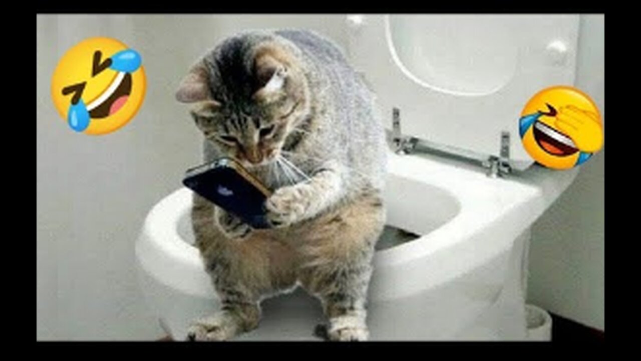 Funniest Cats And Dogs Videos 😂 - Best Funny Animal Videos 2023